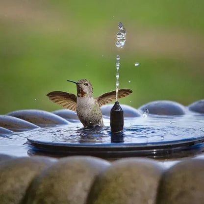 Solar Oasis: Aquatic Garden